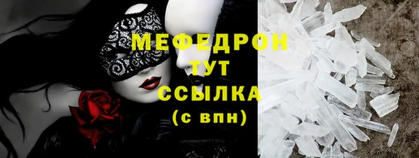 индика Киреевск