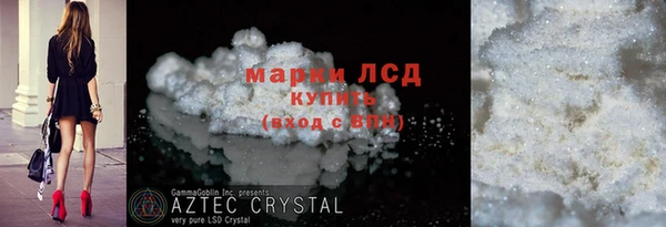 ГАЛЛЮЦИНОГЕННЫЕ ГРИБЫ Козловка