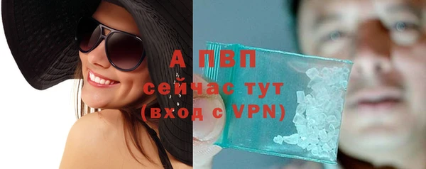 индика Киреевск