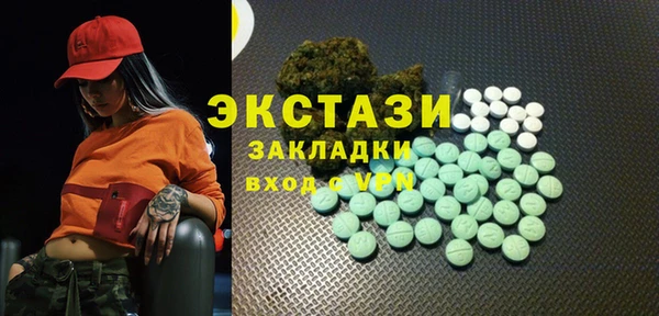 индика Киреевск