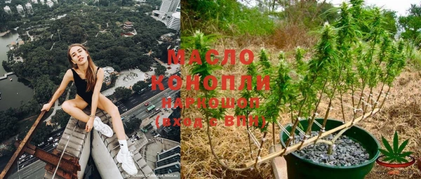 индика Киреевск