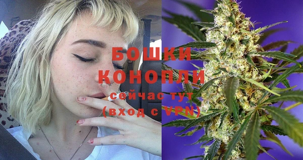 МДПВ Козельск