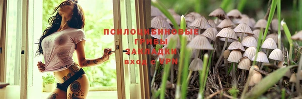 ГАЛЛЮЦИНОГЕННЫЕ ГРИБЫ Козловка