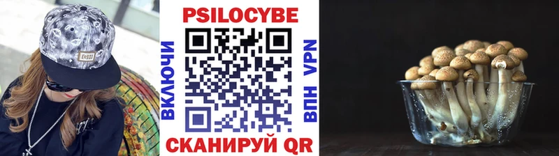 магазин Рязань Псилоцибиновые грибы Psilocybine cubensis