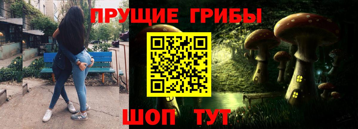 Псилоцибиновые грибы Psilocybe Рязань