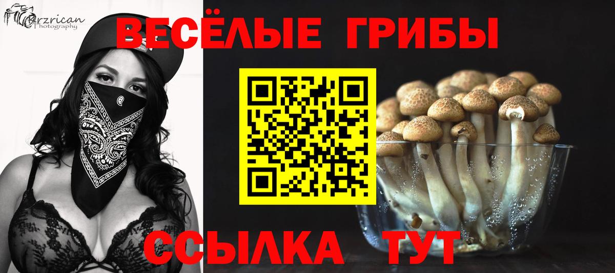 Псилоцибиновые грибы мицелий  Вход с VPN  Рязань 