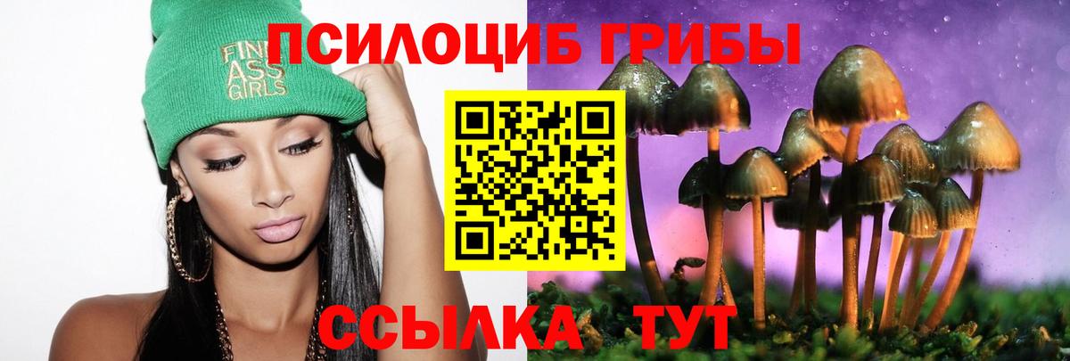 Галлюциногенные грибы прущие грибы Рязань